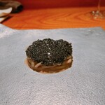 トムクリオーザ - 