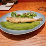 トムクリオーザ - 