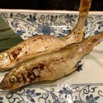 Kaihou - 2023年秋・生 本ししゃも 塩焼き
      旬は秋
      北海道東部太平洋側だけでとれる生息域の狭い魚
      味わいは絶品！