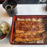 鰻割烹 伊豆栄 本店 - うな重