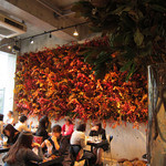 Nicolai Bergmann NOMU aoyama