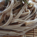 群馬のそば。二八だそうですが、細かい粉の田舎・平打ち。