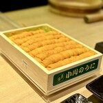 すし玲 - 小川のうに