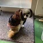 おばんざい処 のりっぺ - 看板犬プリンちゃん