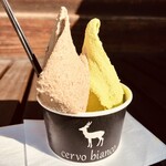 Cervo bianco - 抹茶とほうじ茶