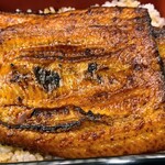 Honkaku Unagi Unashima - 鰻丸々一匹使った うな重特上