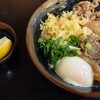 手打十段 うどんバカ一代