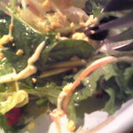 バオバブ - バオバブ特性グリーンサラダ