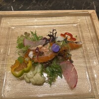 S kashiwa - 