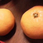 そば処 長岡屋 - サービスのみかん☆