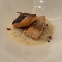 BISTRO DOUBLE - 