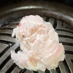 バーベキュー白樺 - 羊脂