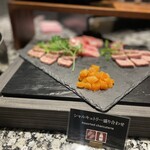 プリムローズ - 