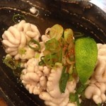 酒菜亭 丸福 - 白子湯引きポン酢