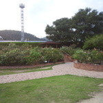 池上製麺所 - 福山サービスエリアには、上下線ともバラの花壇がある。