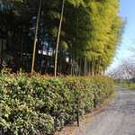 レイヤーカフェ - カフェの前の道