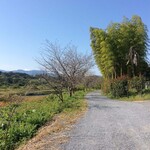 レイヤーカフェ - カフェの前の道