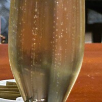 スプレンディード - 