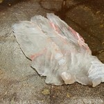 鮨 奥 - ヒラメ（東京湾）