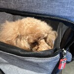 THE NUTS EXCHANGE - シェリ寝てる？ｗ