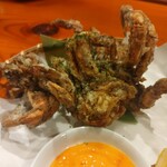 コンペイトウ - 