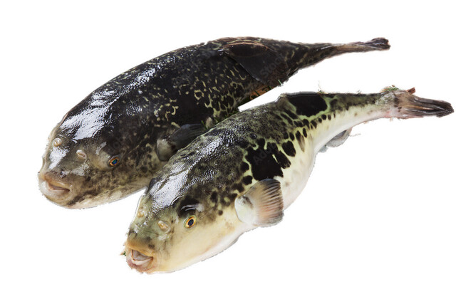 Niku to Fugu Yanagibashi Nabe Garden