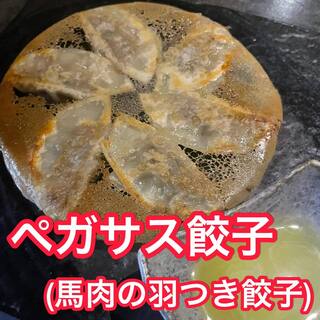 Kumamoto Umagen - 馬肉の羽根つき餃子