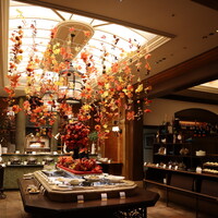 スプレンディード - 