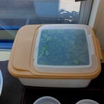 横浜ラーメン 相馬家 - 胡瓜古漬け