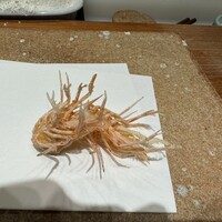 天ぷら 大坂屋 草哲 - 