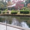 奈良国立博物館