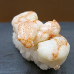 すし 浅尾 - 芝海老昆布〆　握り