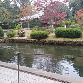 奈良国立博物館_0