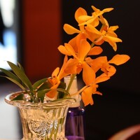 リストランテ カノビアーノ 福岡 - 