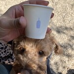 ブルーボトルコーヒー - 犬のオヤツ