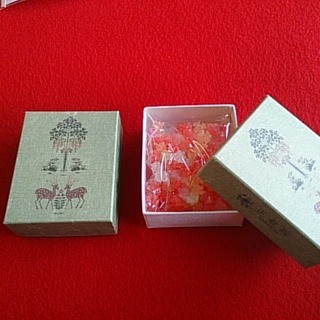 奈良国立博物館_2