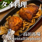 Oriental Elephant - 