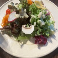 GRIGLIA Pagina - 季節のサラダ