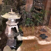 ぼたん - 