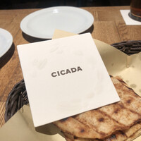 CICADA - 