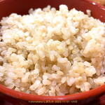 Kassai Chuubouzen - 玄米ごはん 普通盛り