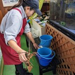 漁港食堂 だいぼ - お姉さまと相談して、この子をいただきます。