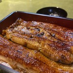 Unagi Fujita - 