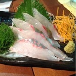 串焼きダイニング Den - シマアジ刺し