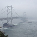 渦見茶屋 - お茶園展望台から見た大鳴門橋