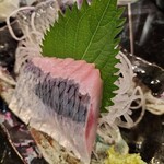 イザカヤ たくと - ニシンの刺身