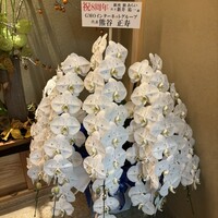 鮨 あらい - 