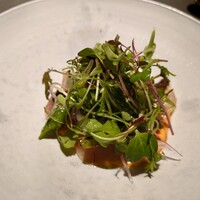 GapricE - 