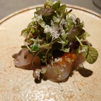 GapricE - 