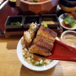 Unagi Sumiyaki Hitsumabushi Minokin - 